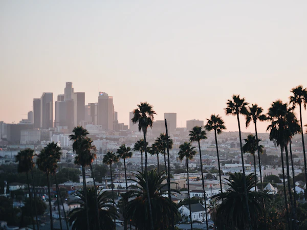 The downtown Los Angeles skyline behind a line of palm trees